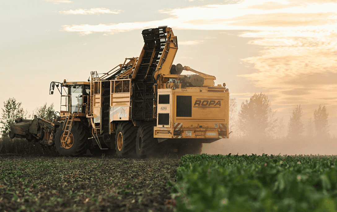 Инвестиции в сахарный сегмент